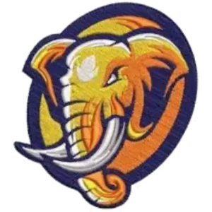 Custom Digitizing Service