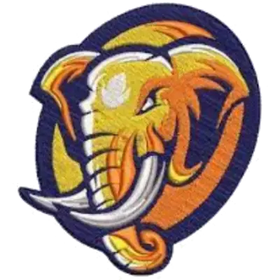Custom Digitizing Service